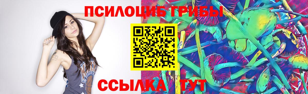 Галлюциногенные грибы мухоморы Воронеж