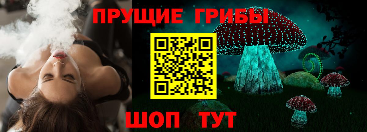 Воронеж  Псилоцибиновые грибы Psilocybine cubensis  Вход с VPN 